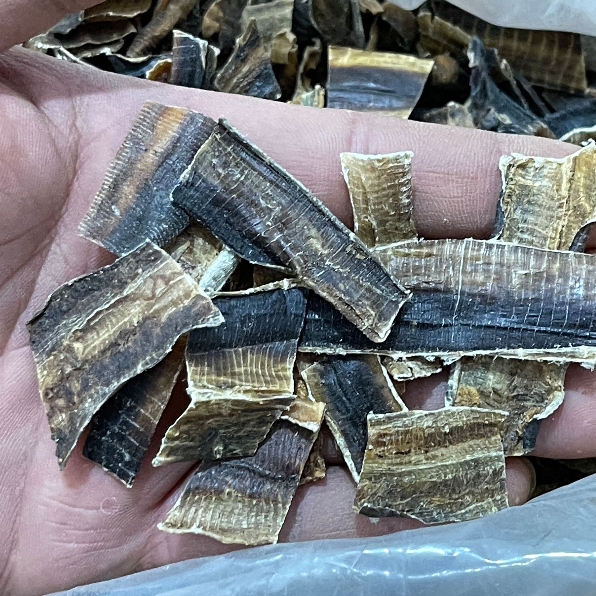 批发中药材 广地龙 全开无泥地龙 地龙干 免费打粉实物拍摄