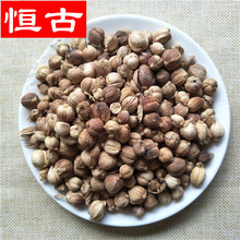 中药材豆蔻 白豆蔻 批发各种香料 品质保证 量大价优