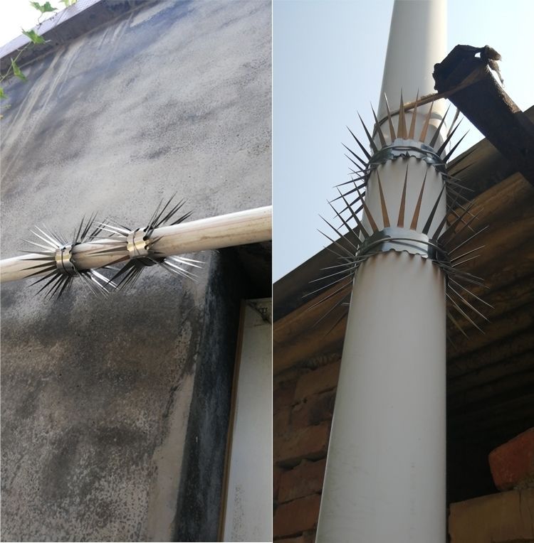 防鼠刺 防蛇鼠攀爬刺 防盗刺 落水管管道防爬刺电线杆防鼠罩304
