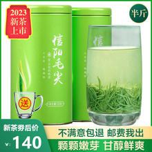 信阳毛尖2023新茶叶明前特级嫩芽毛尖绿茶浓香型春茶散装250g