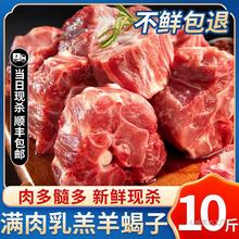 内蒙古羊蝎子生鲜新鲜带肉羊骨头多肉火锅10斤20斤羊脊骨商用羊肉
