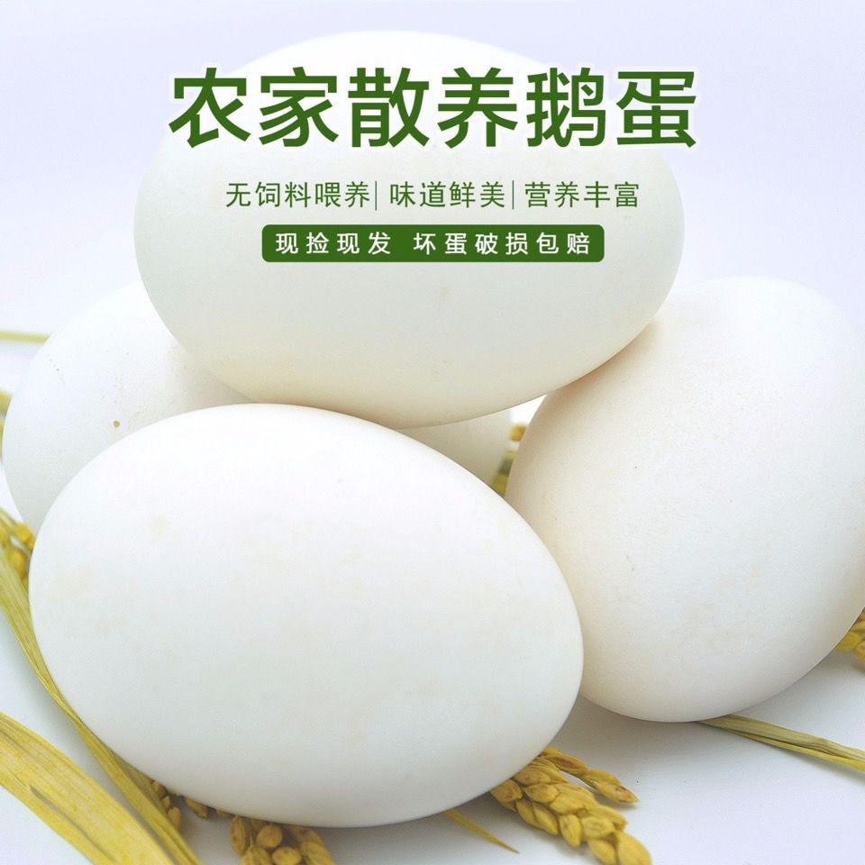 鲜鹅蛋