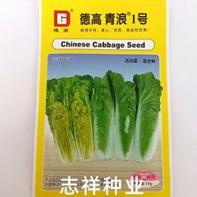 德高青浪1号快菜种子杂交早熟冬性强耐寒抗逆性强小白菜籽白帮10g