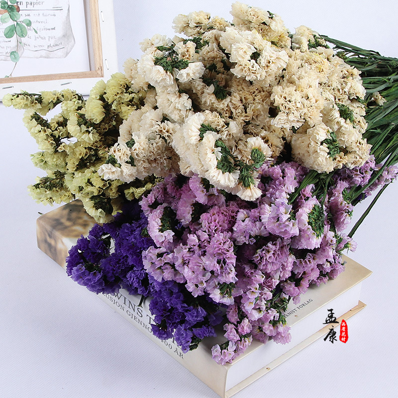 勿忘我永生花干花花束真家居家装软装饰摆设保鲜花礼盒工艺品花材