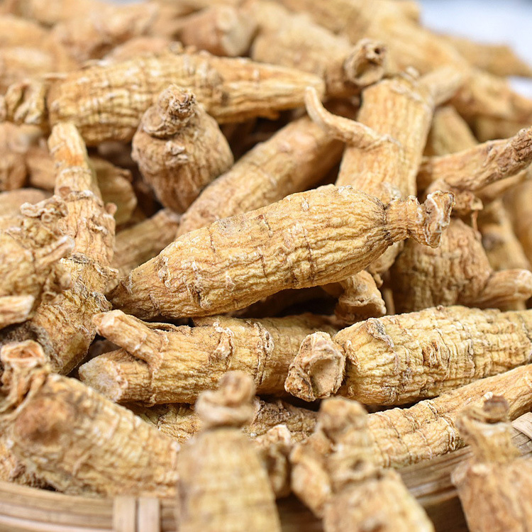 加拿大原丛西洋参 3克5克10克规格齐全 软枝原枝花旗参段整枝粒头