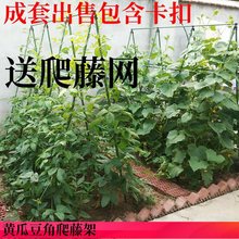 爬藤架种菜架子园艺花架花园阳台花爬架植物豆角黄瓜架葡萄架户外