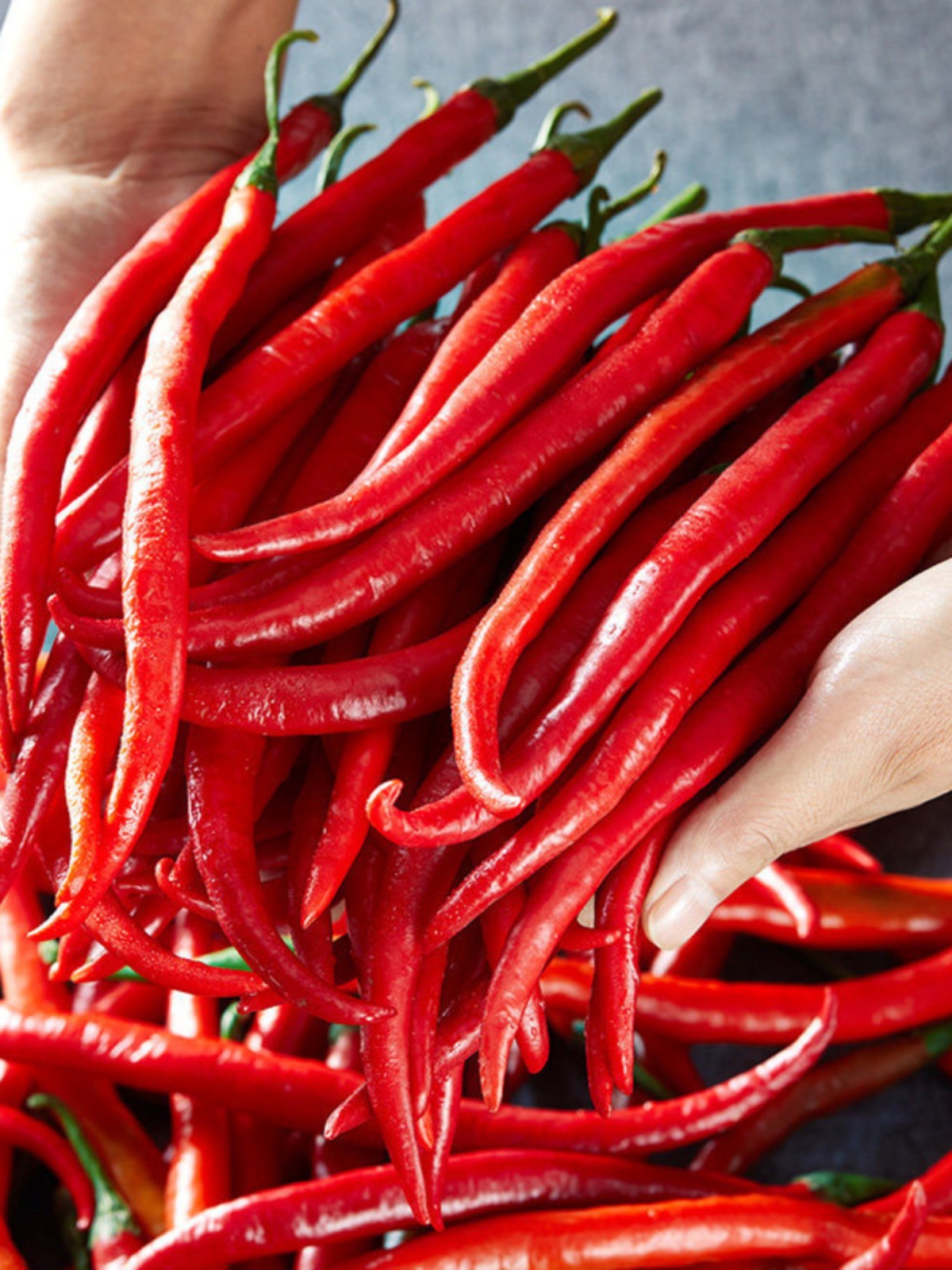 热销农家现摘红二荆条5斤新鲜辣椒鲜红辣椒红线椒海椒辣椒酱剁椒