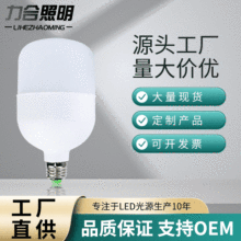 led灯泡 led球泡灯 高富帅平头塑料球泡灯 E27螺口高亮大莱灯泡