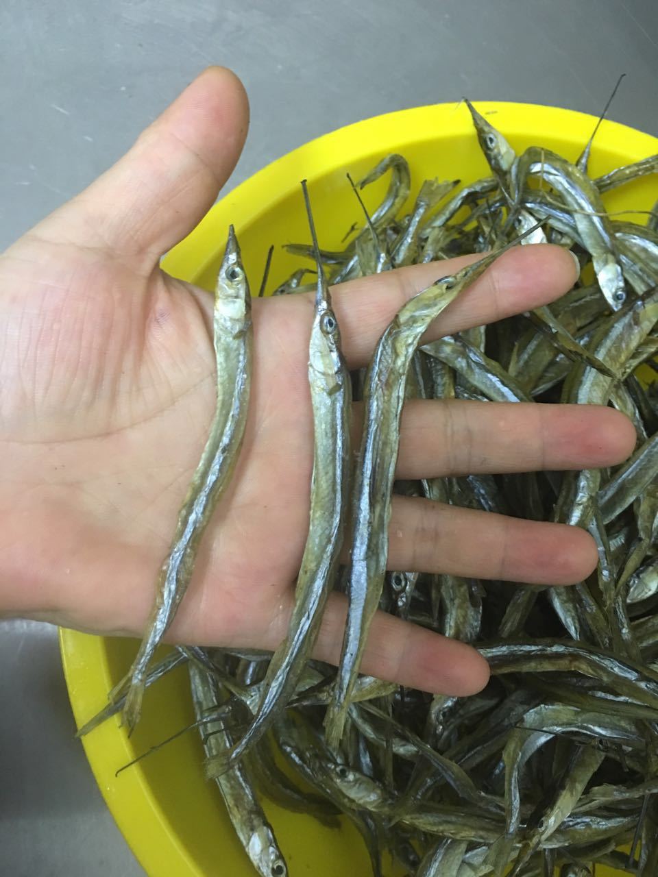 江西鄱阳湖特产淡水鱼针公鱼针宫鱼针空鱼小鱼干真贡鱼干干货包邮