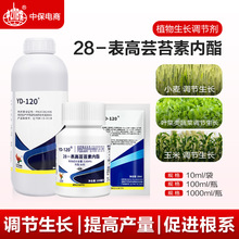 云大YD120 28表高芸苔素内酯 甘蔗水稻小麦玉米蔬菜植物生长调节