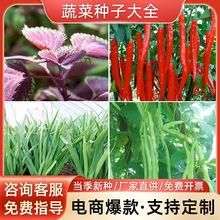 源头批发秋冬季生菜籽彩袋原种地摊大白菜种籽种苗厂家蔬菜种子