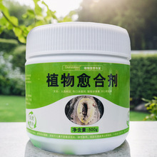 大树伤口涂膜剂树木创伤愈合剂树干涂补剂预防烂杀虫剂果树愈合膏