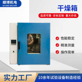 干燥箱电热数显试验室恒温鼓风干燥箱高温烤箱实验室消毒箱