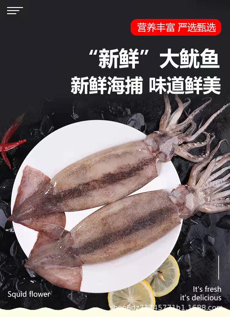 大鱿鱼鲜活整只新鲜冰鲜海鲜生鲜冷冻枪乌贼烧烤火锅香辣铁板鱿鱼