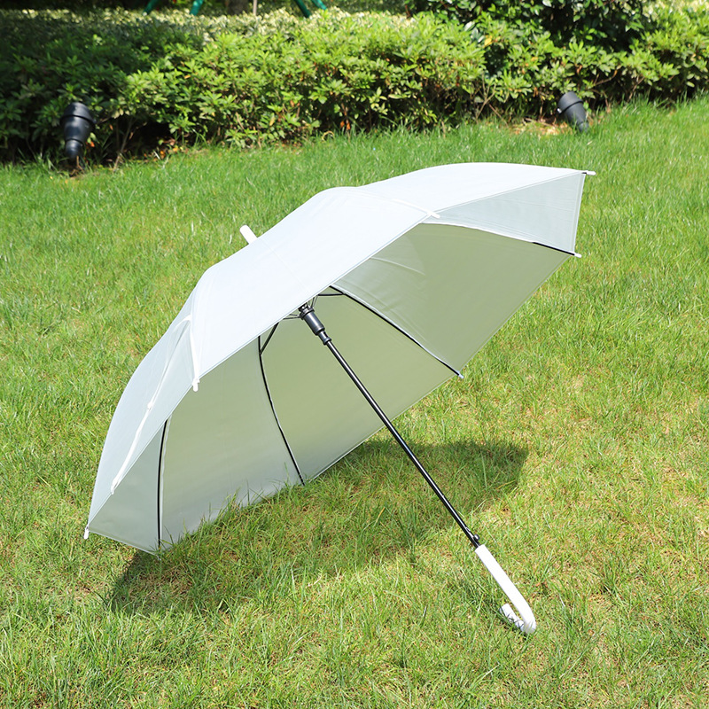 fashion simple 8-bone colorful transparent umbrella small fresh straight umbrella double curved handle umbrella pvc plastic umbrella