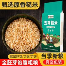 糙米东北新5斤健身玄米农家粗粮胚芽米脂粗粮饱腹代餐饭批发1斤