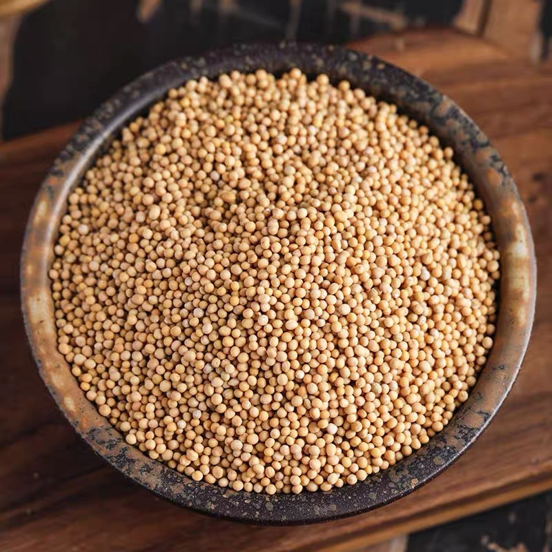 中药材批发供应 白芥子 芥菜籽 青菜籽 各种规格 量大从优