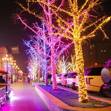 挂树上的彩灯闪灯串灯满天星户外缠树灯led彩灯串圣诞树灯带装饰