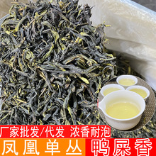 潮州凤凰单丛高山乌龙茶鸭屎香凤凰单枞茶叶乌岽单纵茶大乌叶单从