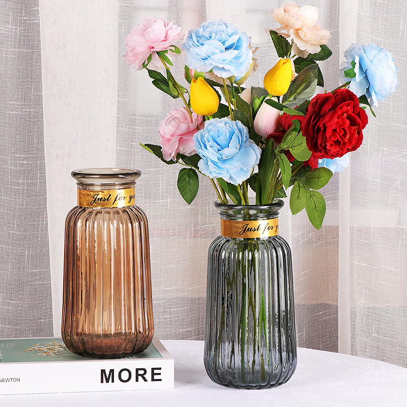 Nordic Imitation Gold Circle Glass Vase Transparent Vase Dried Flower Flower Arrangement Glass Bottle Living Room Home Creative Decoration Ornaments