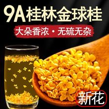 2023新花9A金桂花干花金球桂桂林阳朔无硫桂花茶桂花干花食用泡茶