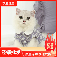 猫咪衣服防掉毛秋装毛衣宠物秋季蓝猫渐层秋冬幼猫小猫布偶猫猫衣