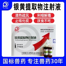 兽药兽用正品银黄提取物液注射咳嗽发热肺热清热利咽猪牛羊宠物鸡