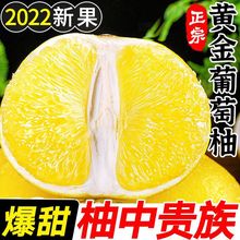 葡萄柚福建爆汁黄金超甜平和柚子新鲜水果当季台湾西柚批发薄皮厂