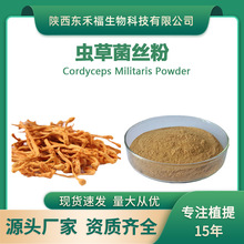 虫草菌丝粉99% 虫草粉Cordyceps Militaris Powder发酵虫草菌丝粉