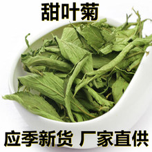 应季新货 新鲜甜叶菊 花草茶500克/1斤散装 厂家直供 食用休闲茶