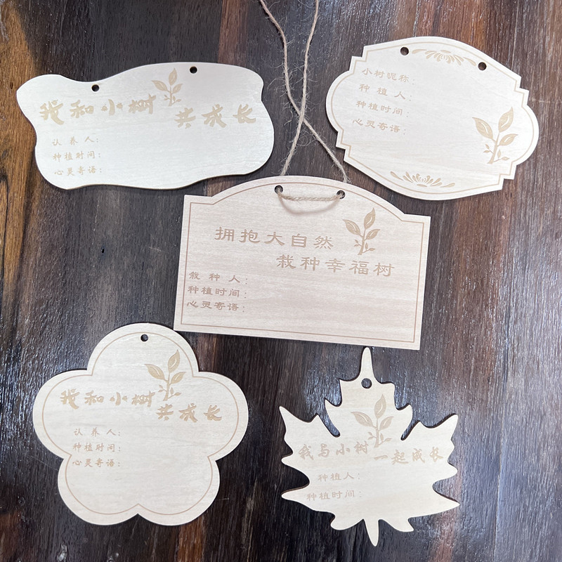 10片木质挂牌 学校植树节吊牌 树木认养牌 植物标签牌 名字卡