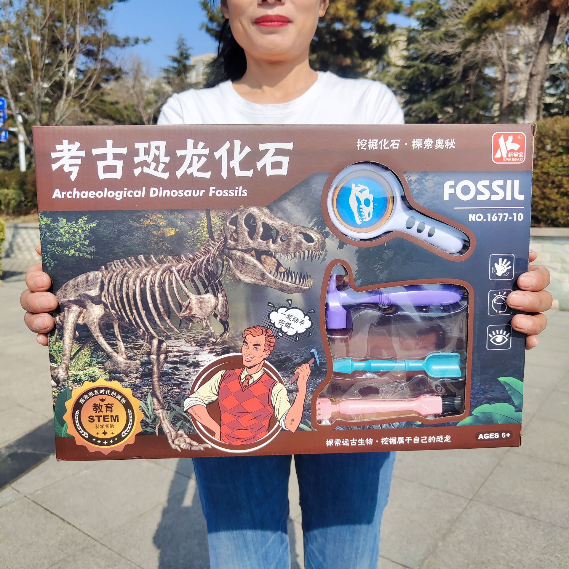 儿童考古挖掘恐龙化石寻宝玩具霸王龙骨架标本发掘科教礼盒批发