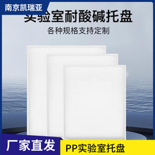 实验室pp托盘聚丙烯塑料托盘接水盘橱柜托盘抽屉式拉篮订作沥水盘