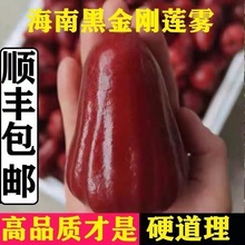 顺丰 海南黑金刚莲雾孕妇现摘3/5斤大果新鲜清甜应季水果非大叶莲