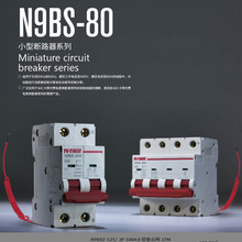 N9BS-80/125小型预付断路器（N9BSZ小型重合闸断路）国网中标产品