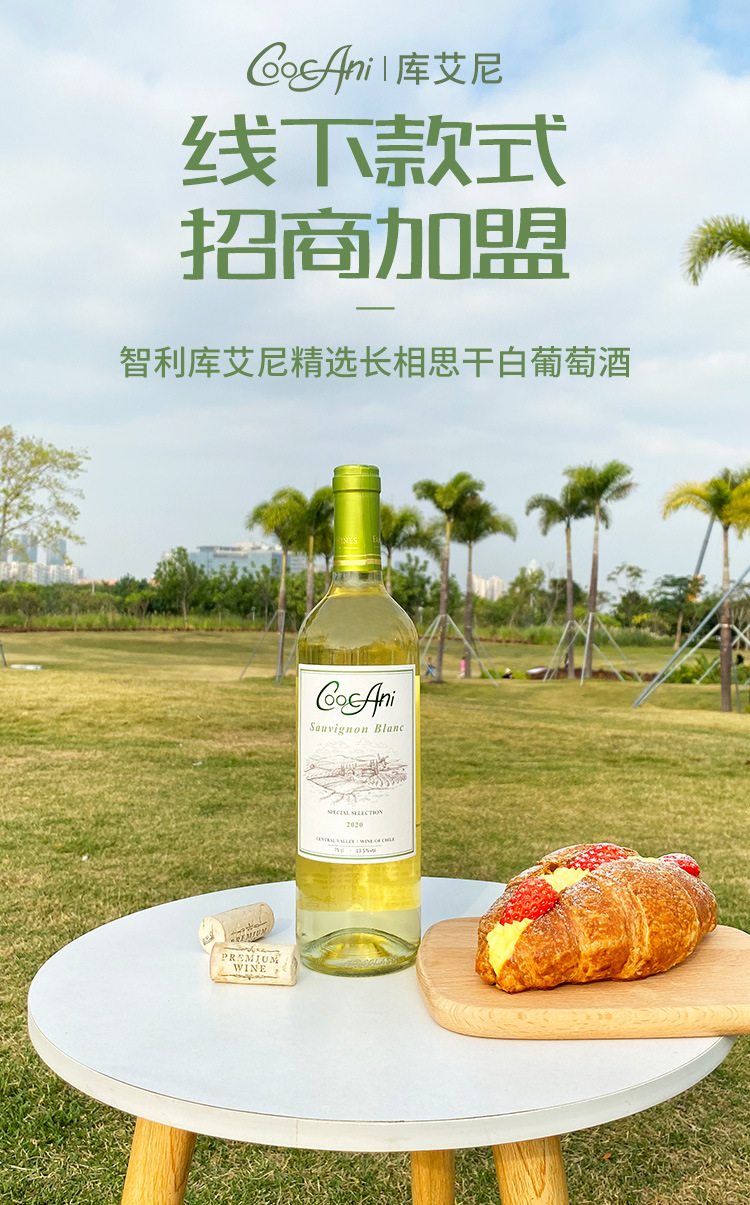 白葡萄酒智利原瓶进口 干白葡萄酒 批发代理 招商加盟 白葡萄酒