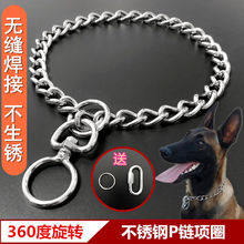 不锈钢p链 狗狗牵引绳项圈马犬金毛罗威纳狗链中型大型犬栓狗脖套