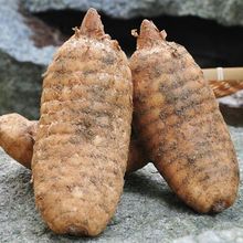 8年野生特级天麻正品官方旗舰店云南昭通晒干帮磨粉天麻片治头痛_阿里