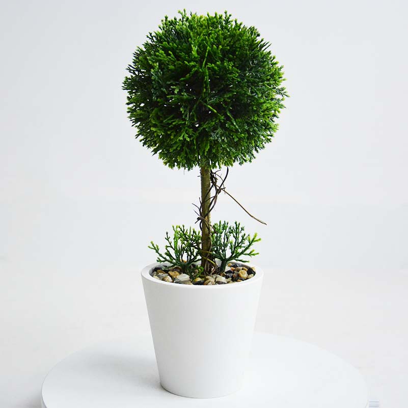 仿真迎客松绿植物家居办公室桌面摆放仿真小树球树球型盆栽迎客松