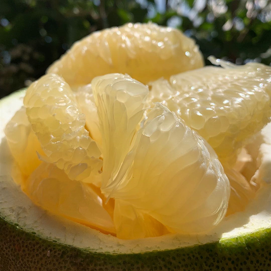 泰国安帕瓦青柚2个/4个装 新鲜水果青皮蜜柚