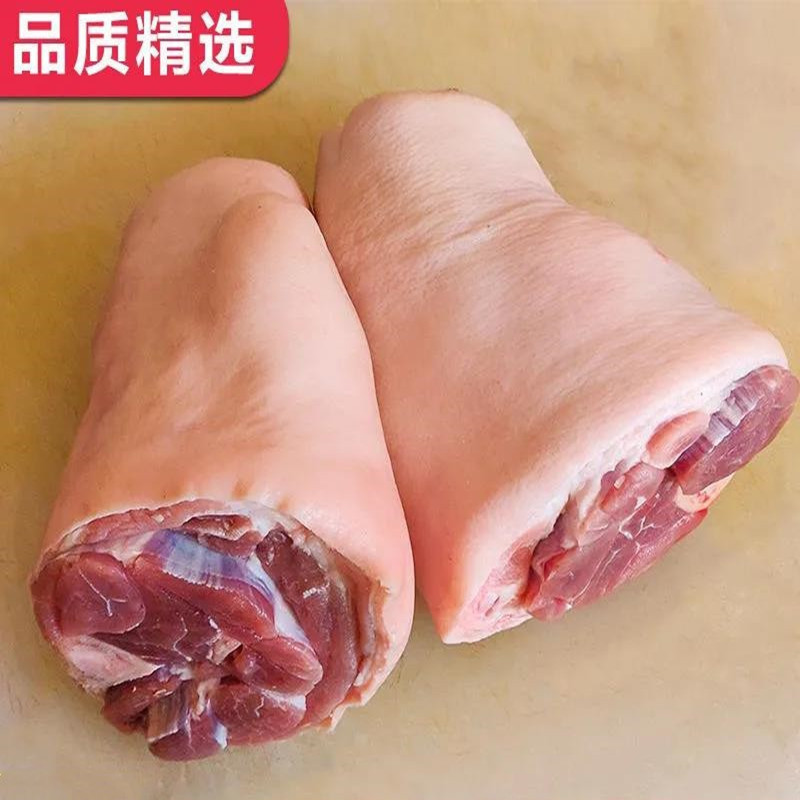 2只约5斤包邮生鲜猪肘子鲜冻猪前肘商用大肘子山东土猪蹄髈肘子