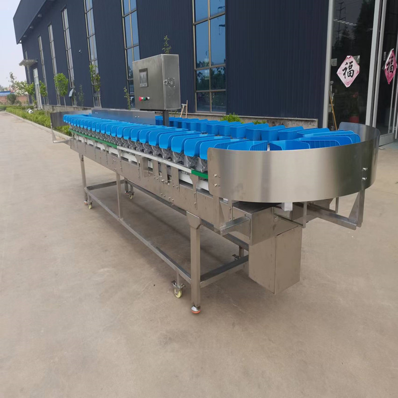 【一件起批】海参分级机 鲍鱼牡蛎鱿鱼牛蛙小龙虾鸡爪自动分级机