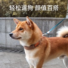 中型犬狗脖圈金毛柯基拉布拉多犬颈圈狗圈脖套项圈宠物狗狗项圈