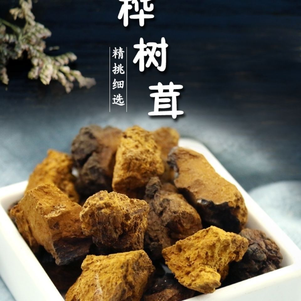桦树茸长白山桦褐孔菌白桦茸桦树泪茶多规格包邮(代磨粉)