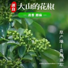 贵州特产兴义贞丰顶坛花椒籽青花椒颗炒菜煲汤调味麻料20克包邮