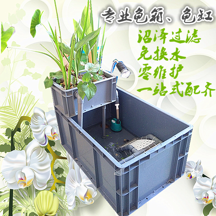 乌龟沼泽过滤龟苗养殖箱周转箱生态过滤龟缸水培过滤龟缸鱼缸一体