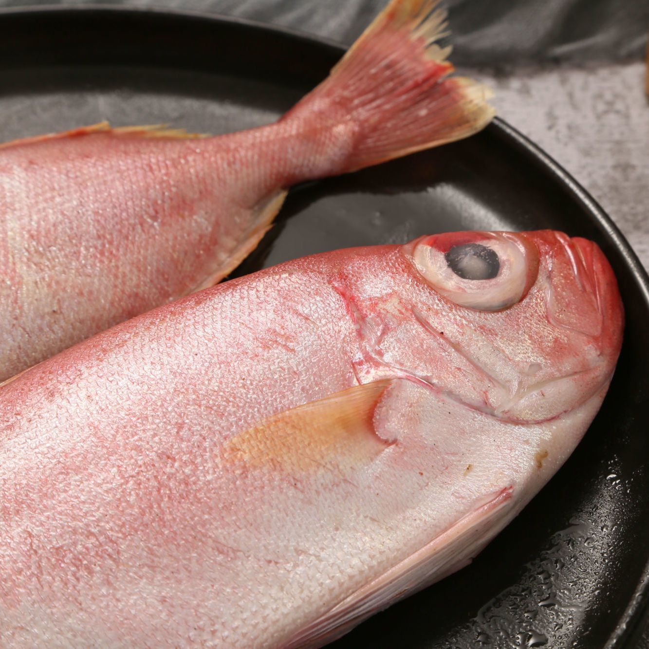 冷冻水产野生海鲜大海莲大眼鲷大眼鱼红目鲢大眼鸡婆海鱼5斤装
