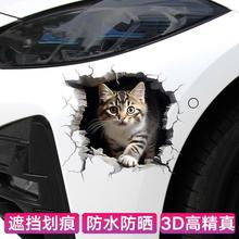个性宠物猫咪车贴抓痕汽车贴纸车身划痕遮挡贴摩托车3D卡通贴防zb