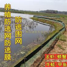 甲鱼防逃膜泥湫拦网75cm养鱼龙虾苗护栏鱼池围板专业不滑丝渔网布