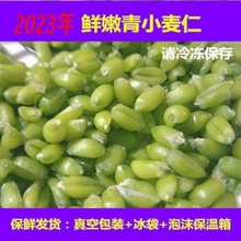 青麦仁新鲜农家自产3斤脱皮麦煮粥五谷杂粮速冻小青麦1/5斤独立站